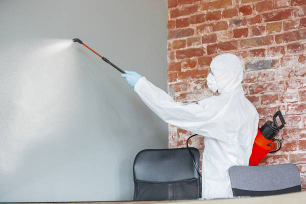 Best Comprehensive Air Testing for Mold Contaminants  in Parkland, WA