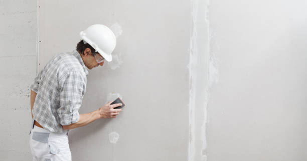 Best Black Mold Removal  in Parkland, WA