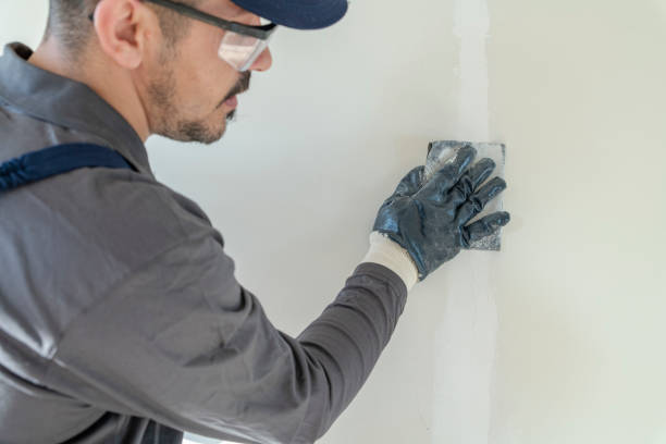 Best Industrial Mold Remediation  in Parkland, WA