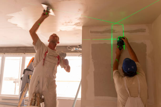 Best Mold Damage Restoration  in Parkland, WA
