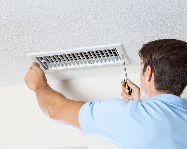 Best Mold Documentation for Insurance Claims  in Parkland, WA