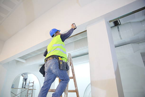 Best Mold Prevention Services  in Parkland, WA