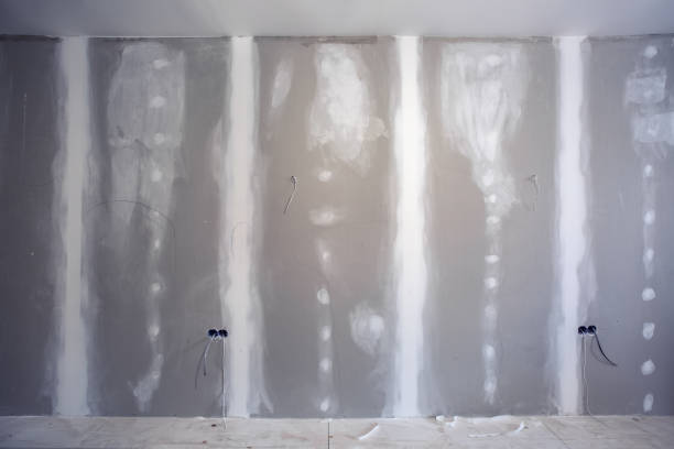 Best Environmental Consulting for Mold Prevention  in Parkland, WA